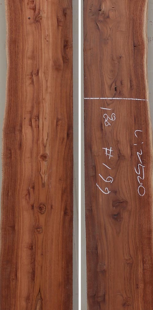 참죽 199번 24~30x200(평균폭)x2500