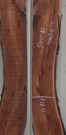 참죽 205번 24~30x160(평균폭)x2500